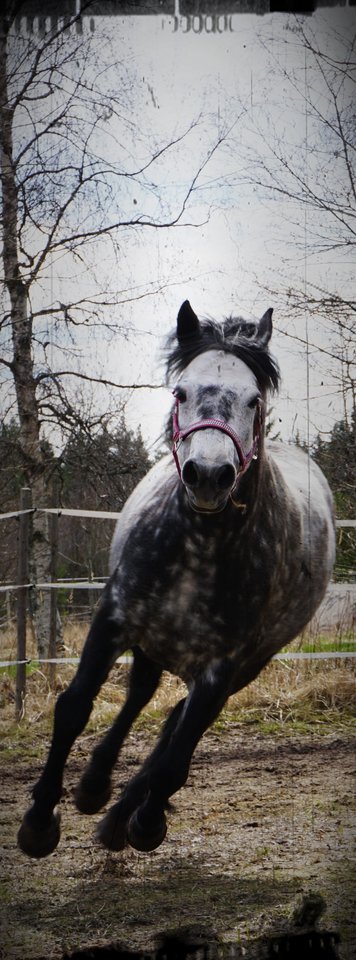 DSC00756.JPG - MAK_Demon