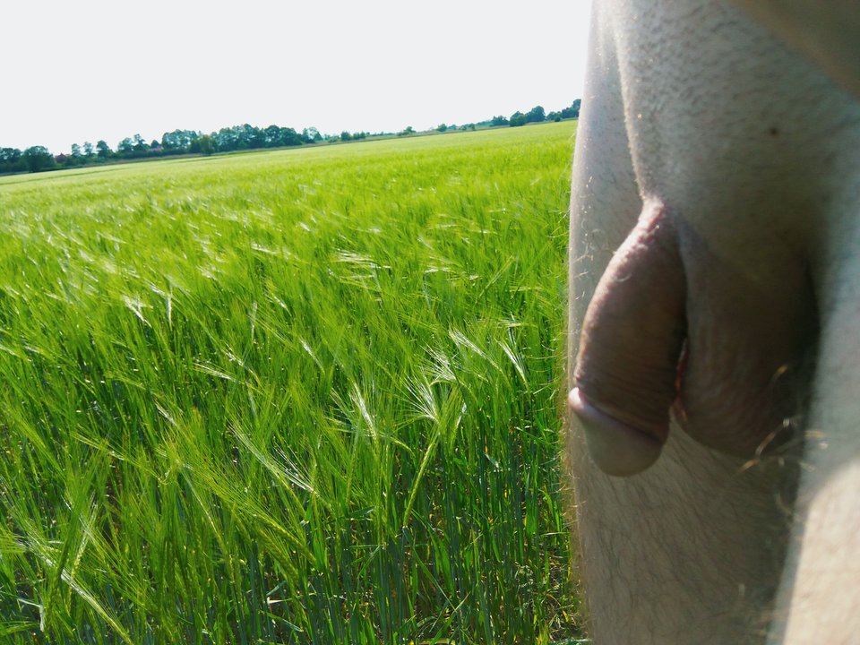 IMG_20180520_185150.jpg - mlodyjelcz