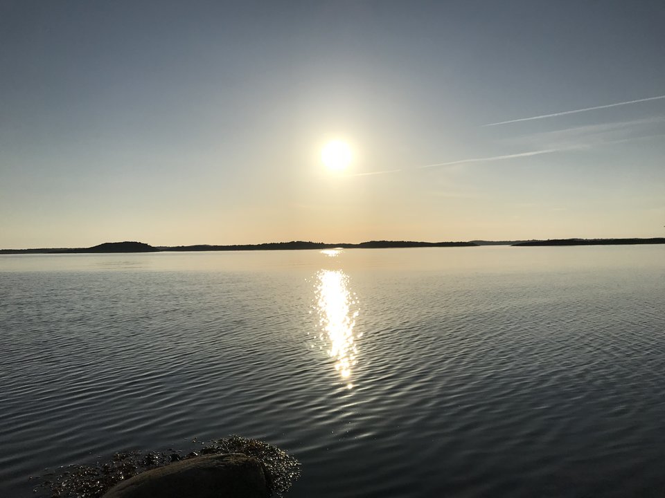 02A486F9-755F-4955-BB07-70F516947DEB.jpeg - tekilka6969