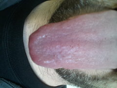 Co by tu porobic?.jpg