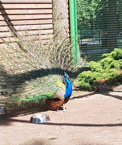 20180521_200447.jpg