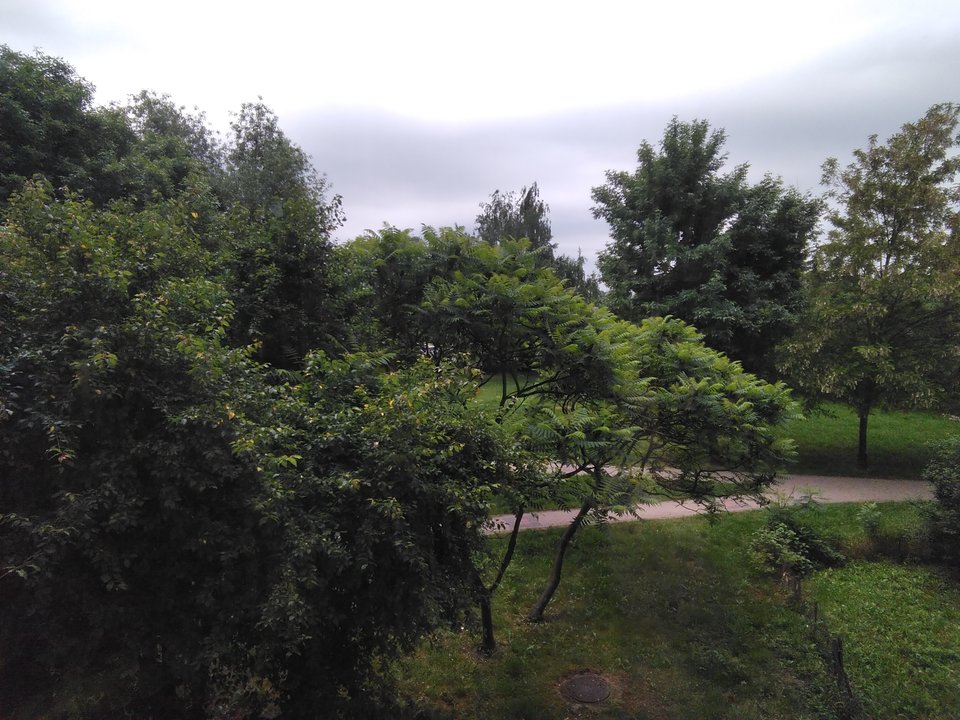 IMG_20180519_112110.jpg - gabiwacek