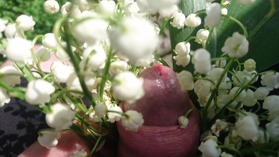 DSC_1301.JPG - Zwyczajny_69