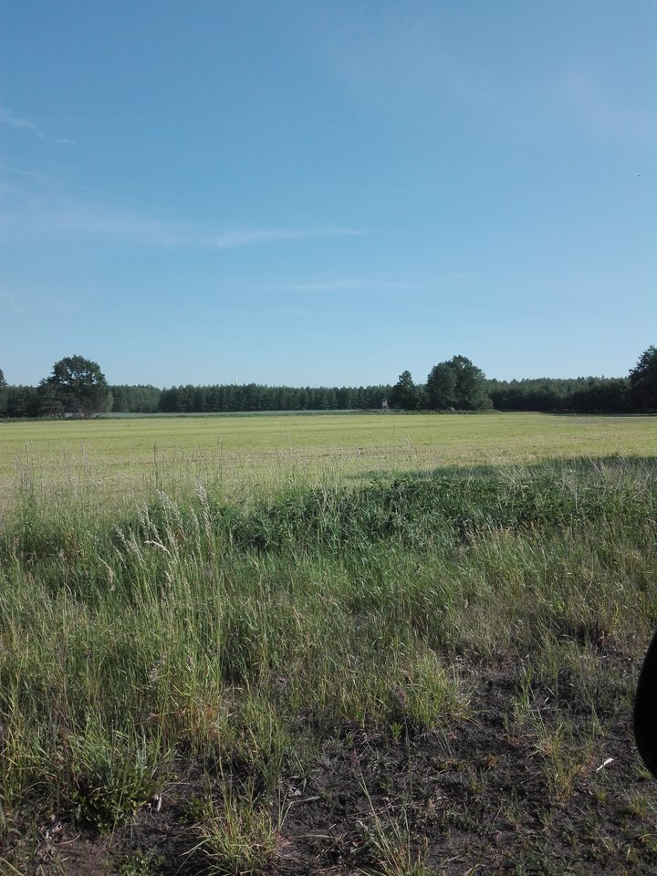 IMG_20180523_080931.jpg - Mich1977