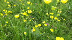 20180524_125508.jpg