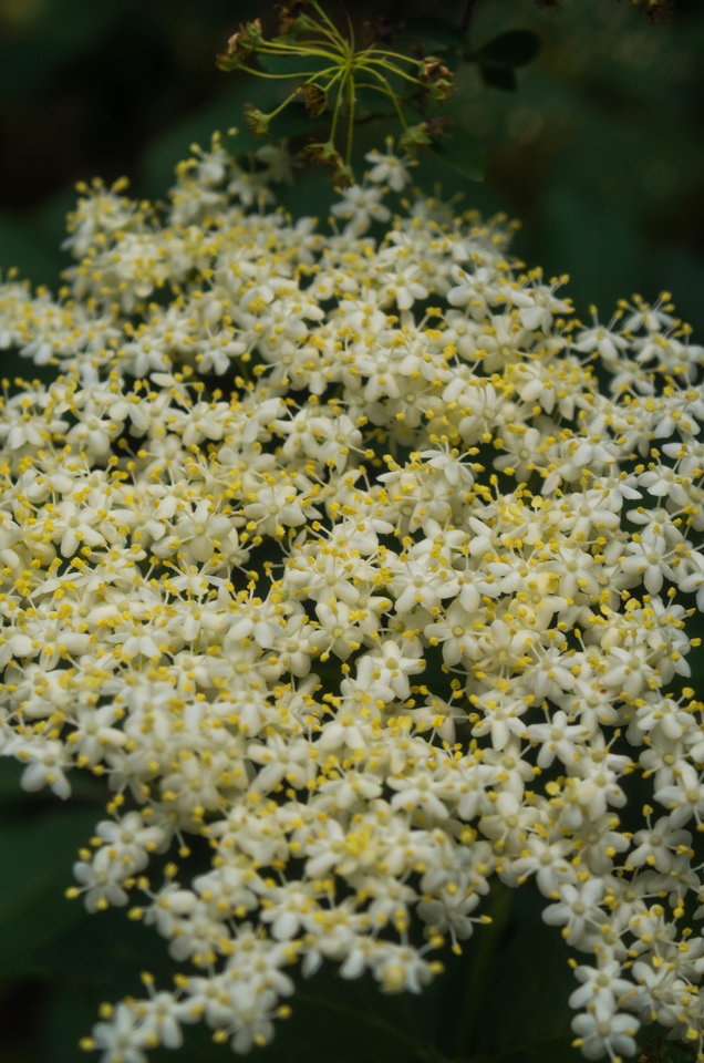 Zbiegowisko - mystic