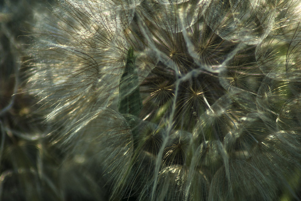 _DSC2557.jpeg - marquiz