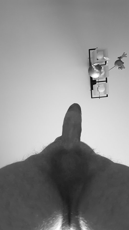 20180527_083433.jpg - piotrslawski1978