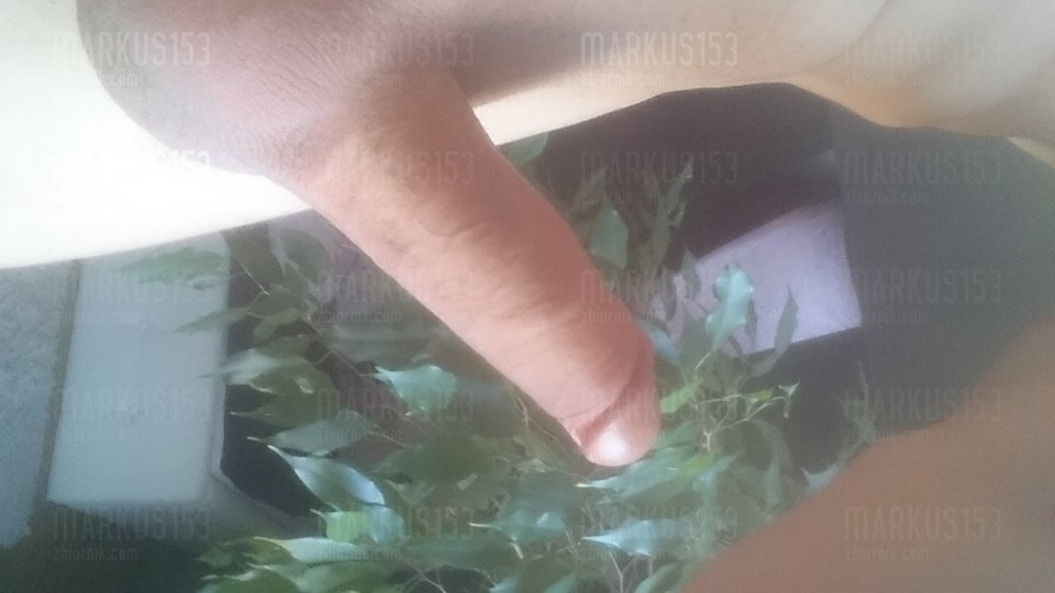 DSC_0427.JPG - markus153