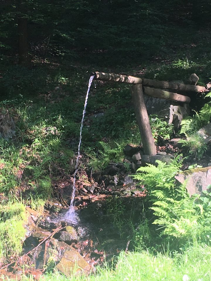 3FAE141B-E3E8-435F-904C-8AF8CEB2A64F.jpeg - pawelsolt