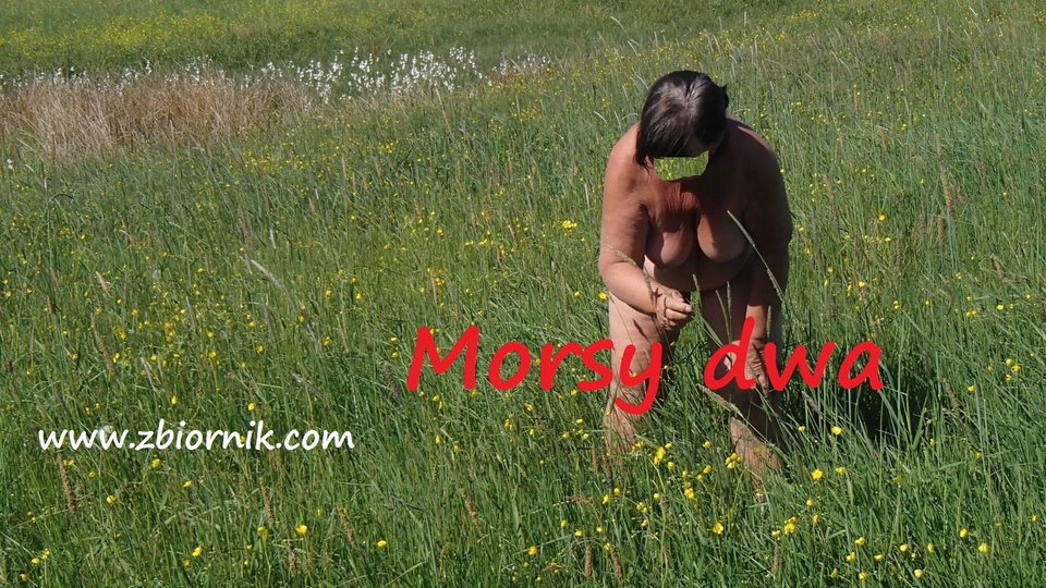 Plener 05 18 - Morsy_dwa