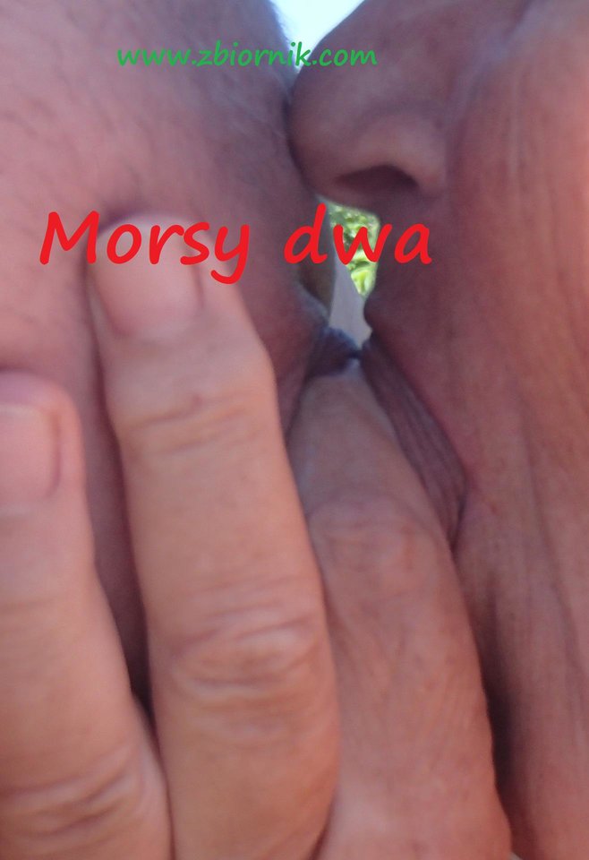 Plenerowe lody... - Morsy_dwa