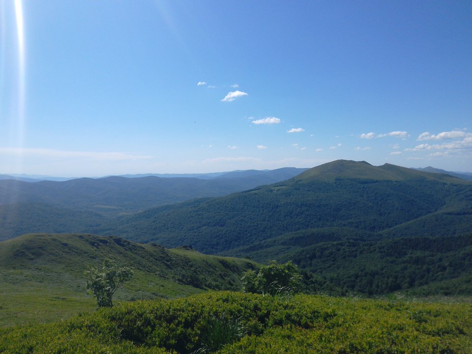 IMG_20180529_145502.jpg - grzeskce