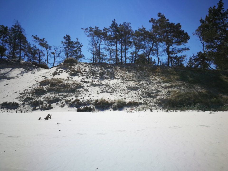 IMG-20180530-WA0009.jpg - RaMaggie