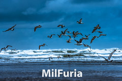 MilFuria ornitologiczna