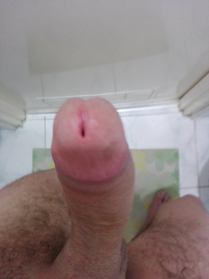 tom2.jpg - mysia2325