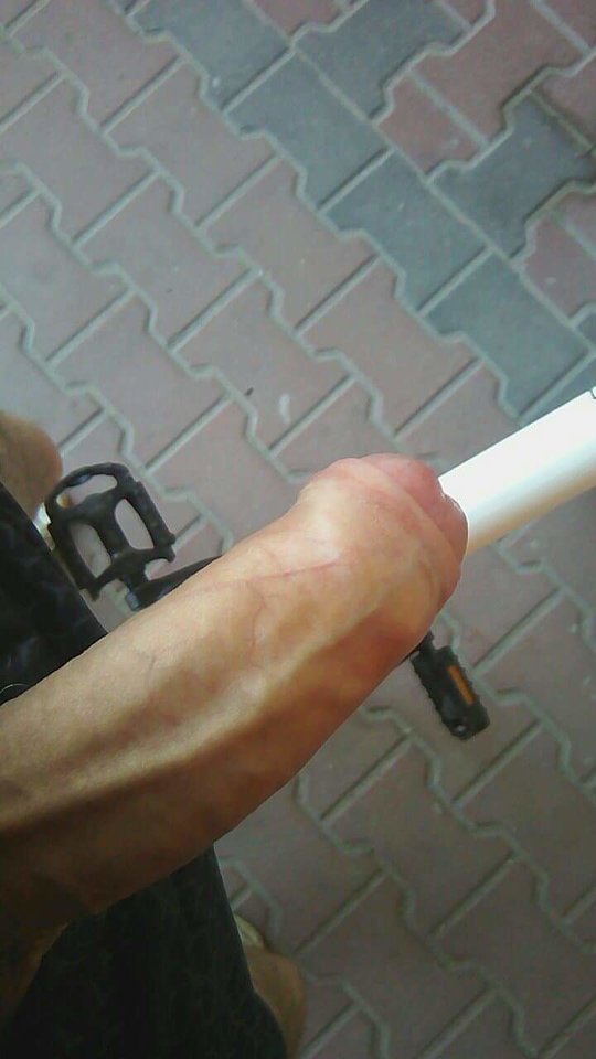 received_2058660840874624.jpeg - pararadom2018
