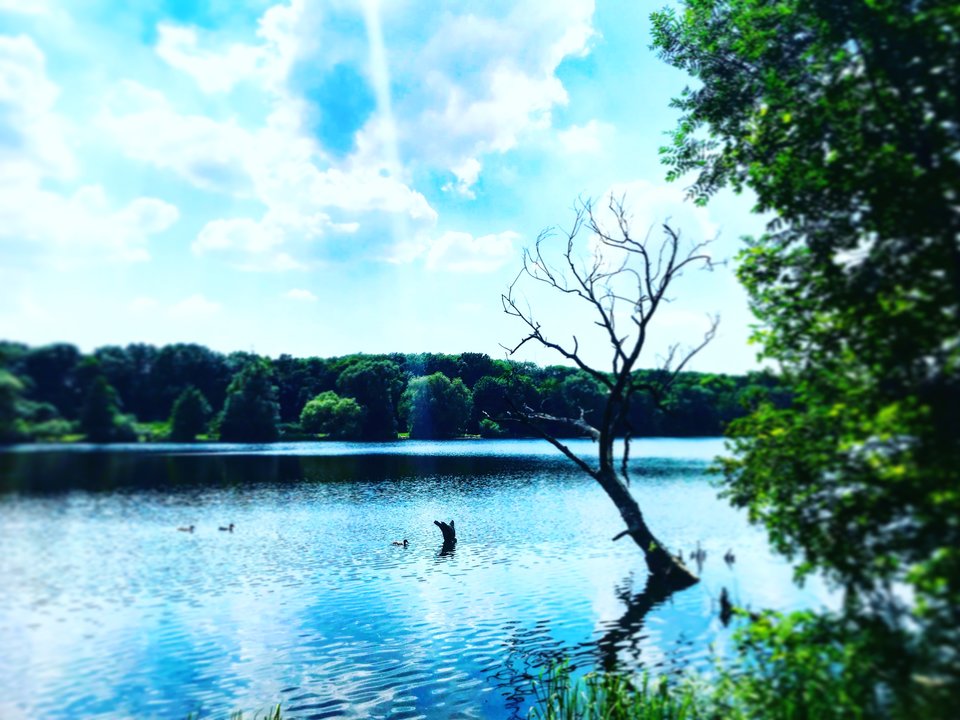 60614290-5330-4FC2-8B96-F0782C10E450.jpeg - Mekagojiranogyakushu