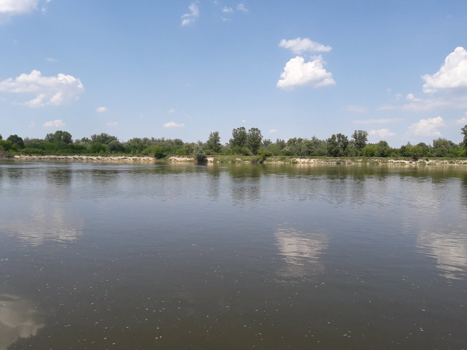 20180531_142339.jpg - tom6970