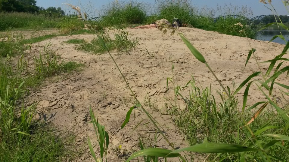 choc trzciny coraz wiecej. - superdrive40