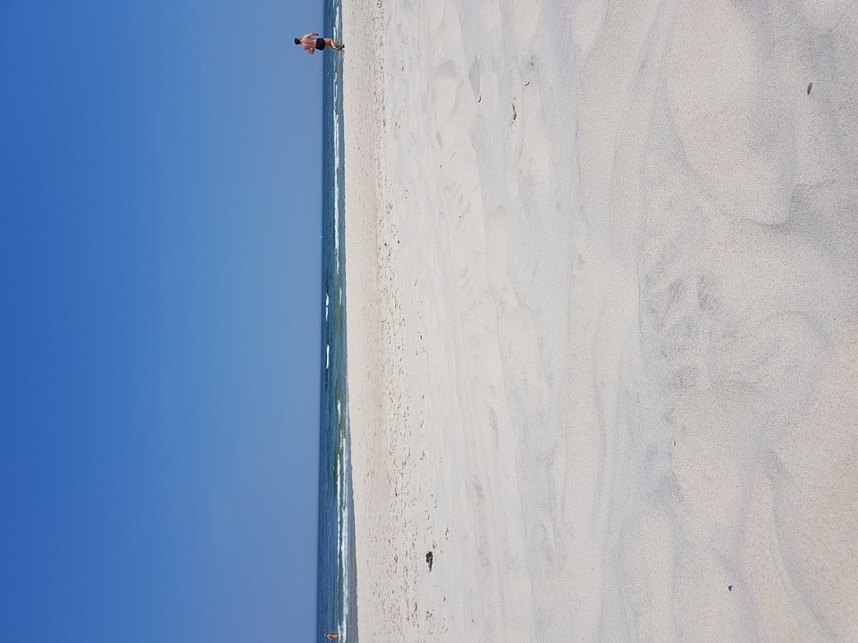 20180601_123950.jpg - malysamotny
