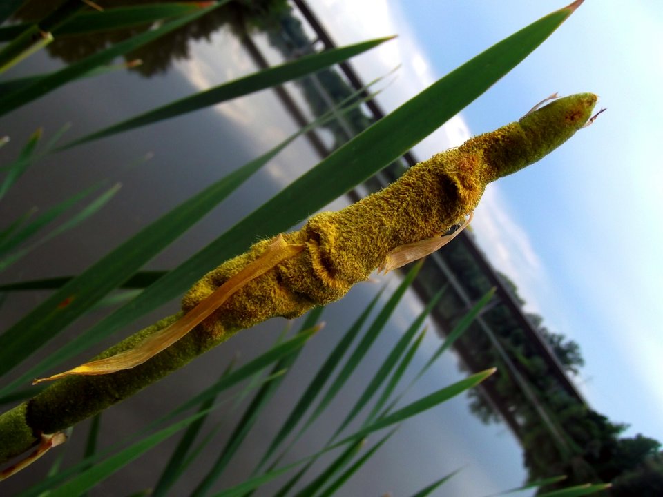 Antosowice - adresat