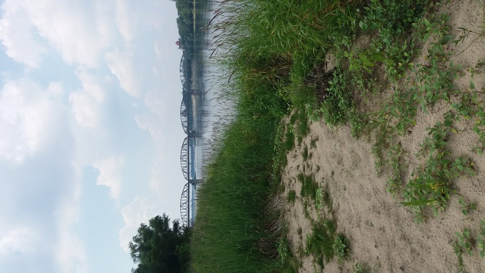 20180602_130418.jpg - mar226