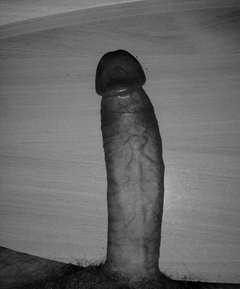 CAM00479.jpg