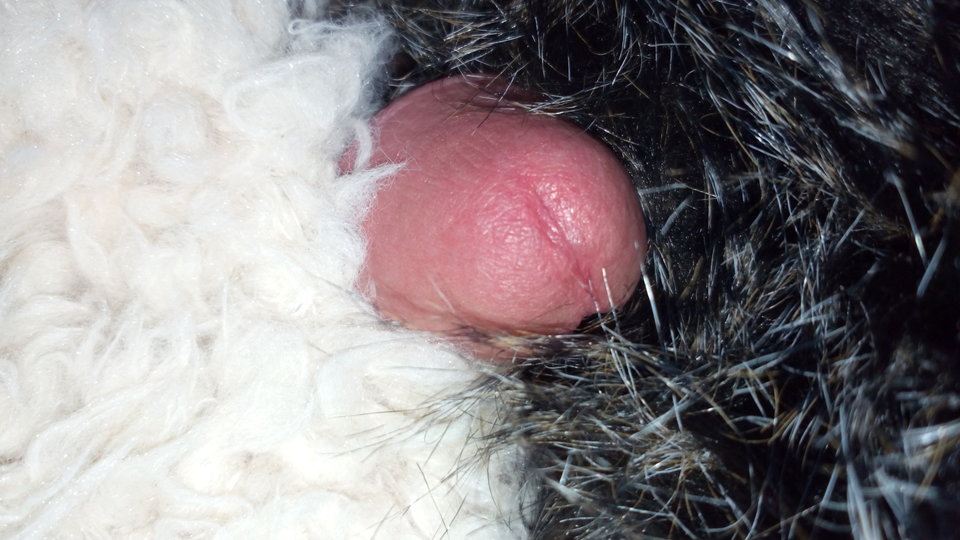 IMG_20180508_124530.jpg - PussyLICKER77