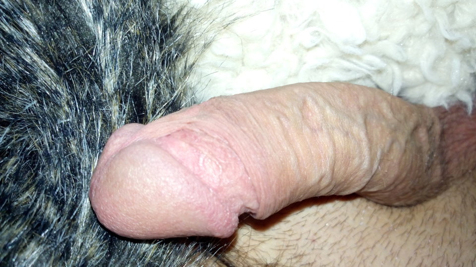 IMG_20180508_124344.jpg - PussyLICKER77