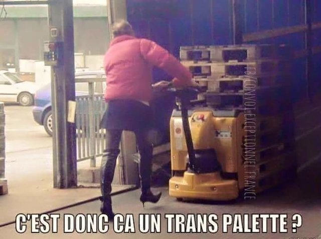 FB_IMG_1527340907643.jpg - paulinatrans1