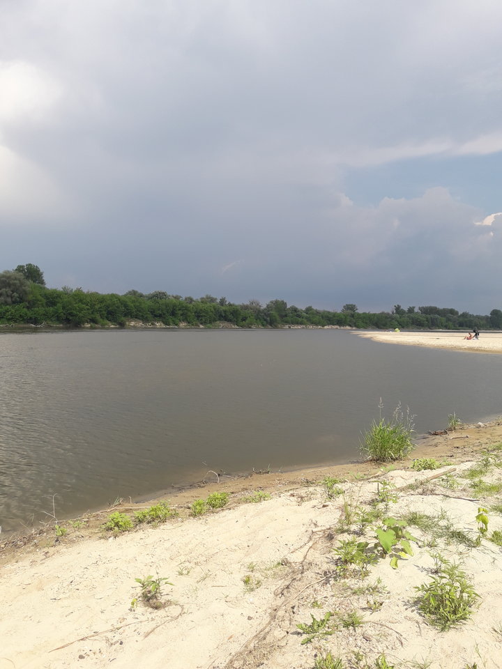 2018-06-03 14.16.44.jpg - tom6970