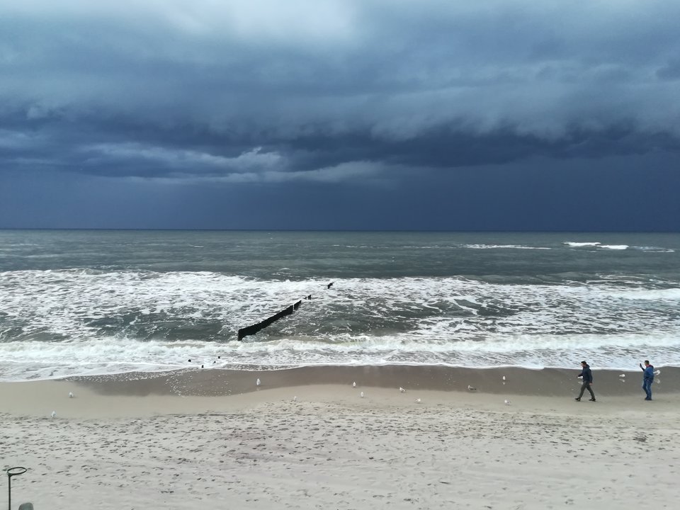 IMG_20170914_190737.jpg - tiburon73