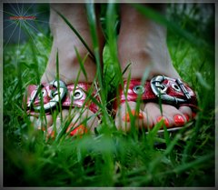 Czerwone Drewniaczki 77