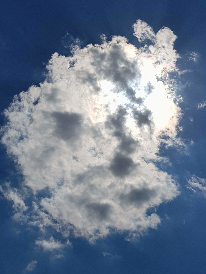 received_2011946102209392.jpeg - wirtualna11