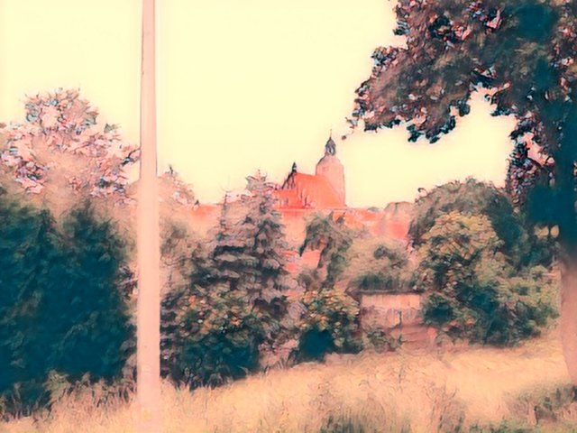 img1528700119705.jpg - dino8