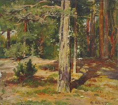 SzyszkinIvan_pines-summer-landscape-1867.jpg
