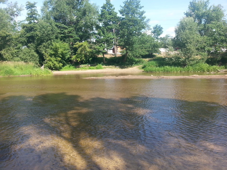 20180613_092307.jpg - NIESAMOWITYKOT