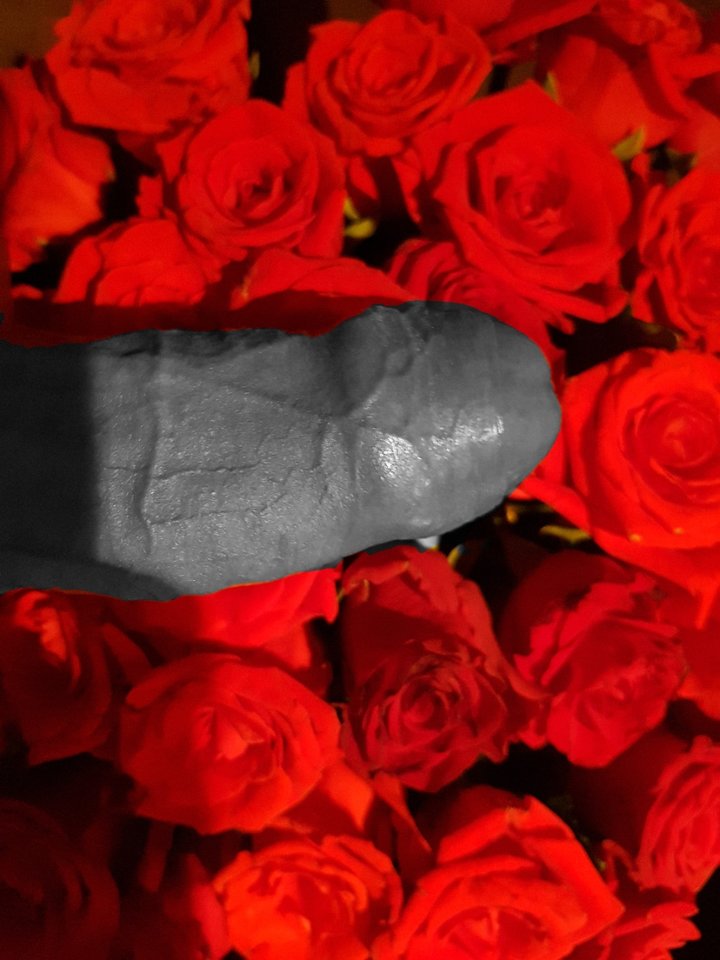 ColorPhoto_201861514825225.jpg - xzzx123