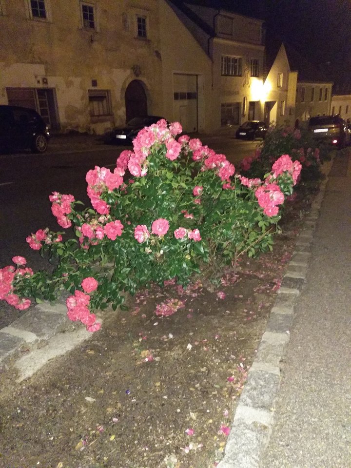 IMG_20180615_223800.jpg - MattVegass