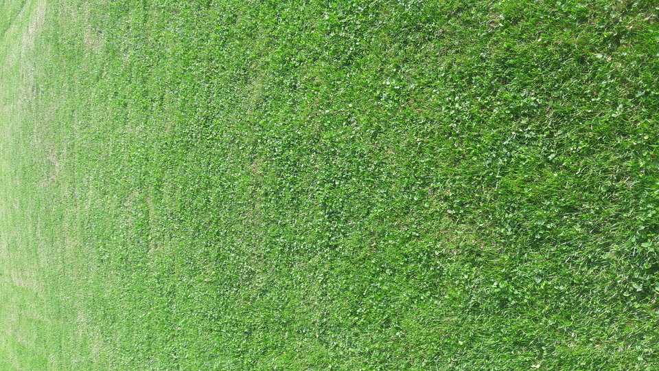 Dobrze "zerżnięta".....????:):):) - bob1967