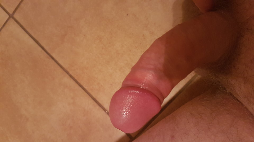 15291868469858996919011329003407.jpg - Carolpoznan