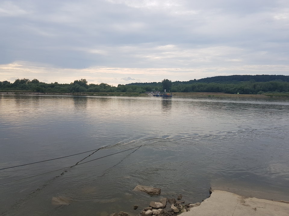 20180617_172223.jpg - milusinski1978