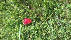 20180519_151804.jpg