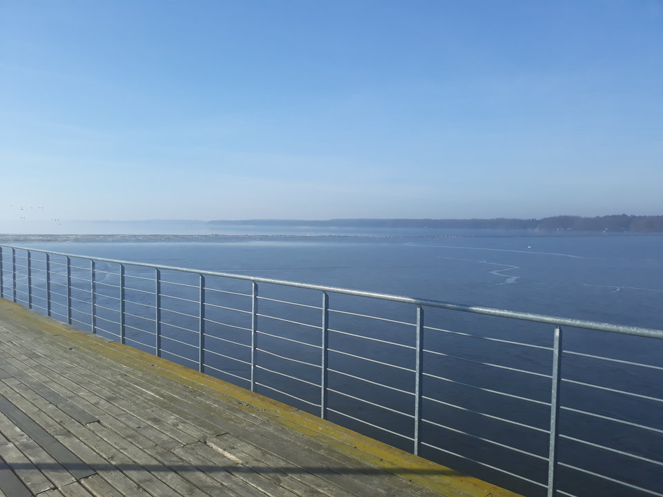 20180311_101038.jpg_1520766428420.jpeg - Diabelny1975