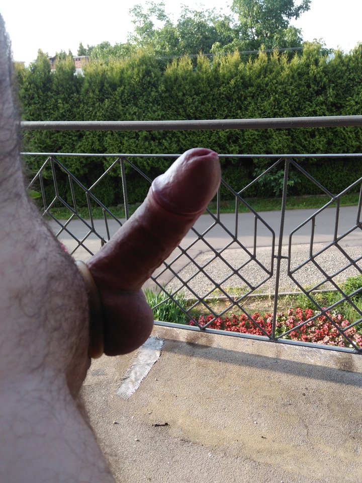 IMG_20180611_065524.jpg - xxxMarcoxxx