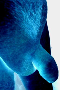 IMG_20180621_113441_927.jpg