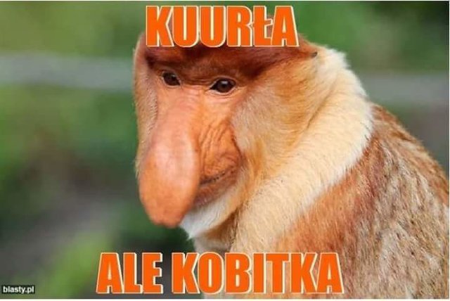 received_1739053432854745.jpeg - Hermes_29