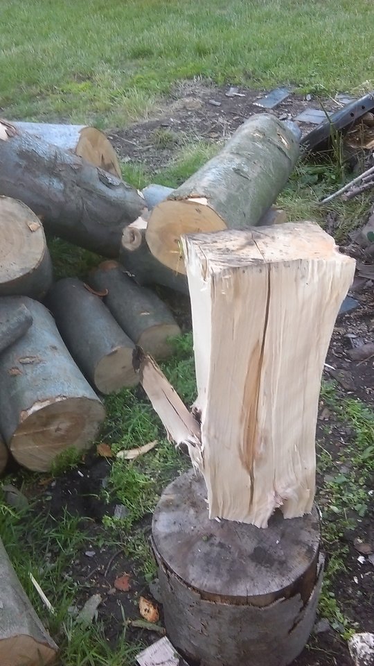 IMAG0231.jpg - wulkan696969