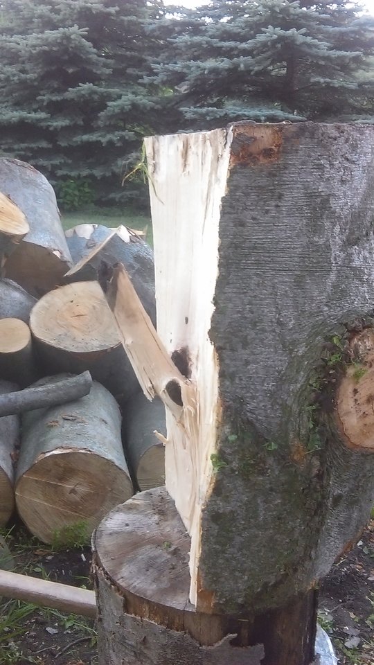 IMAG0230.jpg - wulkan696969